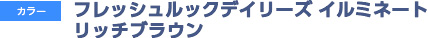 フレッシュルックデイリーズ イルミネート リッチブラウン