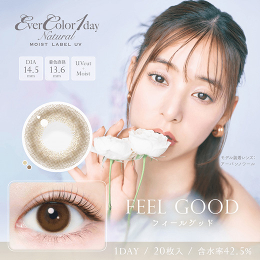 エバーカラー ワンデー ナチュラル モイストレーベル UV フィールグッド 20枚入り（×6箱）