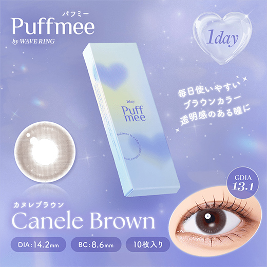 パフミーワンデー カヌレブラウン 10枚入り（×2箱）