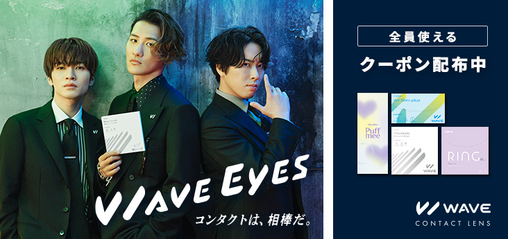 【新品】コンタクトプロ Lサイズ コンタクトレンズ通販 レンズイン